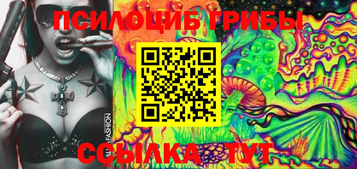 закладка  Вход с VPN  Луга  Псилоцибиновые грибы Psilocybe  Галлюциногенные грибы Psilocybe 