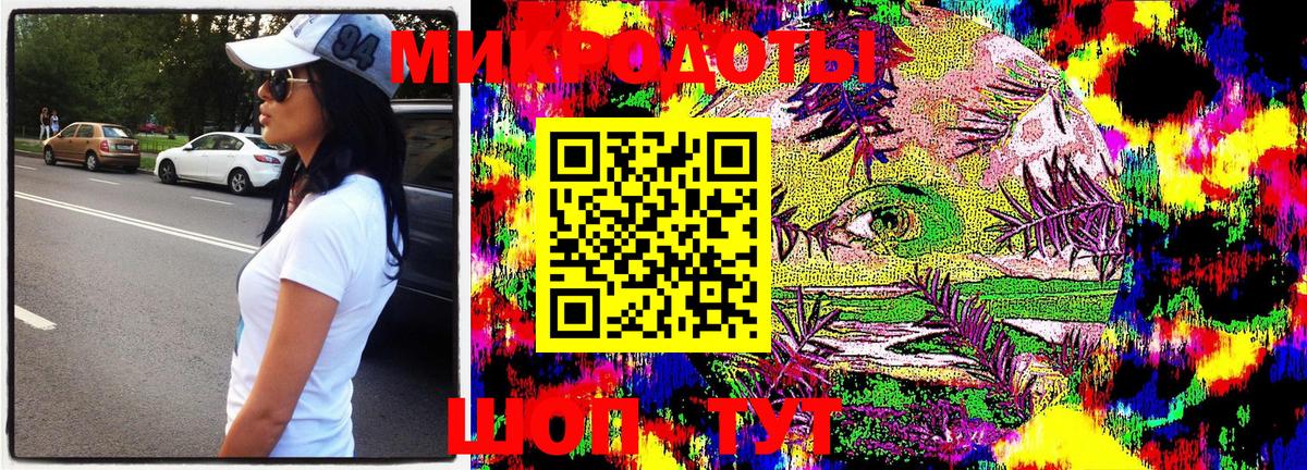Псилоцибиновые грибы Psilocybe Луга